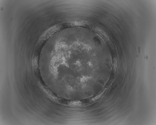 X0000086270410200703291440