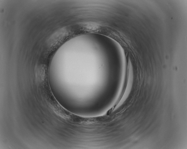 X0000086270412200703291440