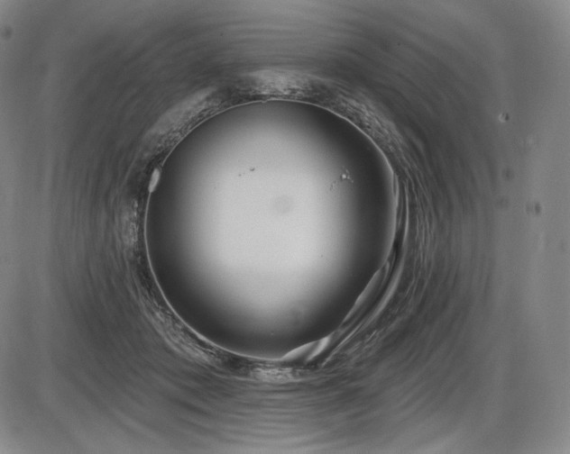 X0000086270413200703291440