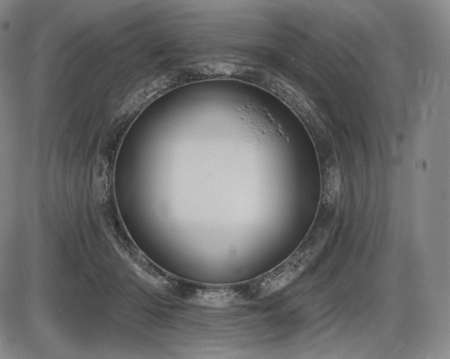 X0000086270414200703291440