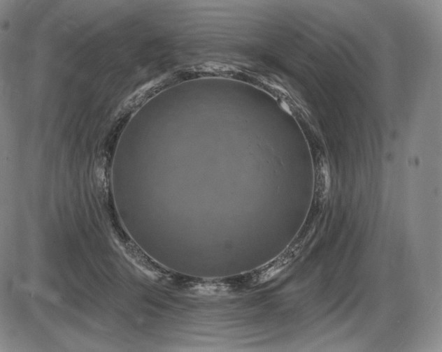 X0000086270415200703291440