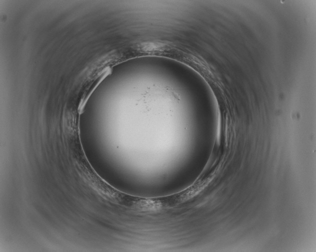 X0000086270421200703291440