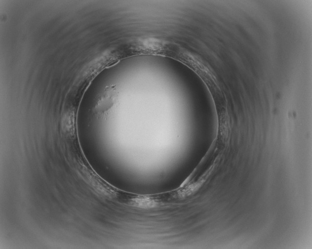 X0000086270425200703291440