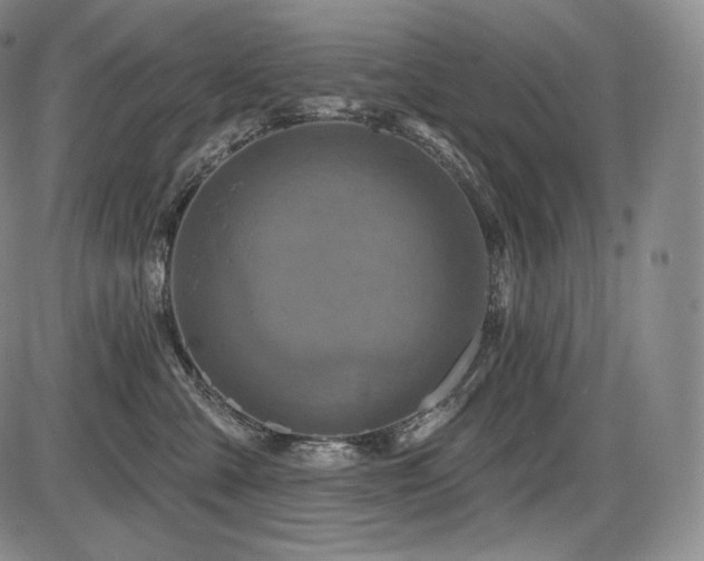 X0000086270427200703291440