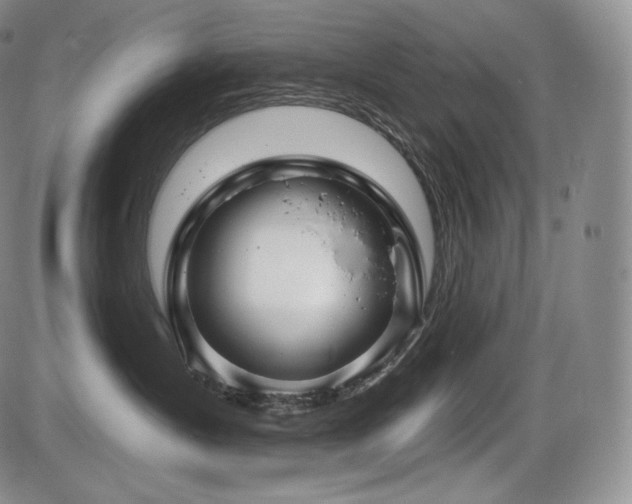 X0000086270431200703291440