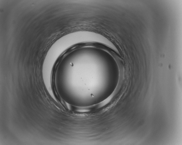 X0000086270432200703291440