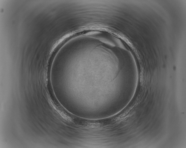 X0000086270438200703291439