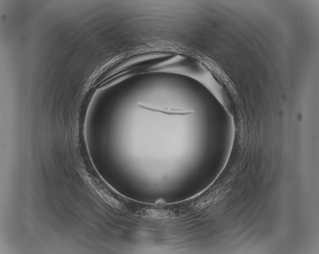 X0000086270442200703291439