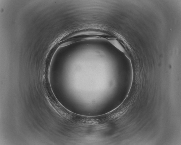 X0000086270443200703291439