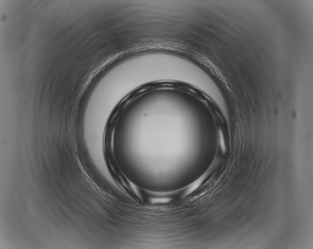 X0000086270444200703291439
