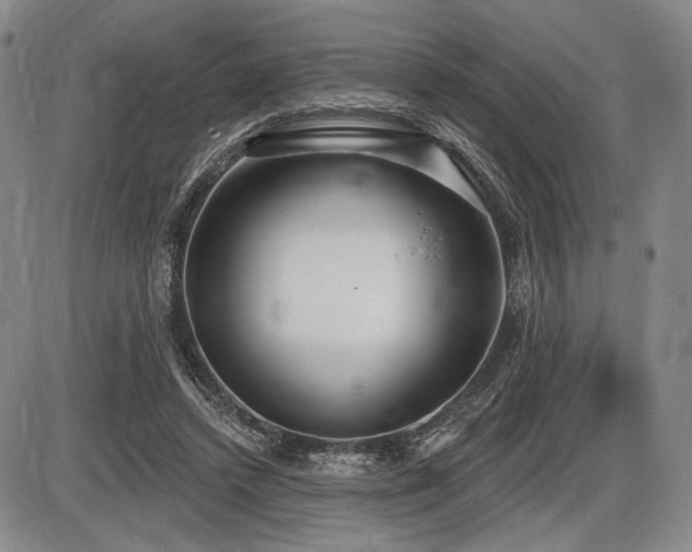 X0000086270448200703291440