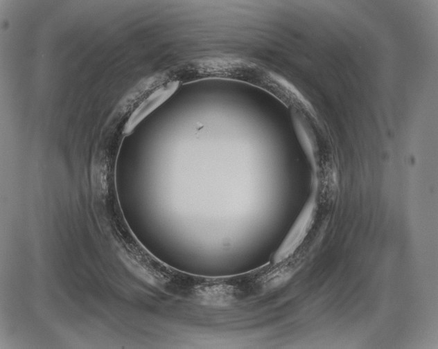 X0000086270452200703291440
