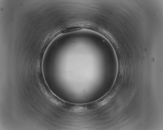 X0000086270453200703291440