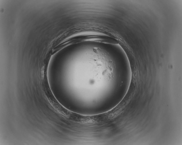 X0000086270454200703291440