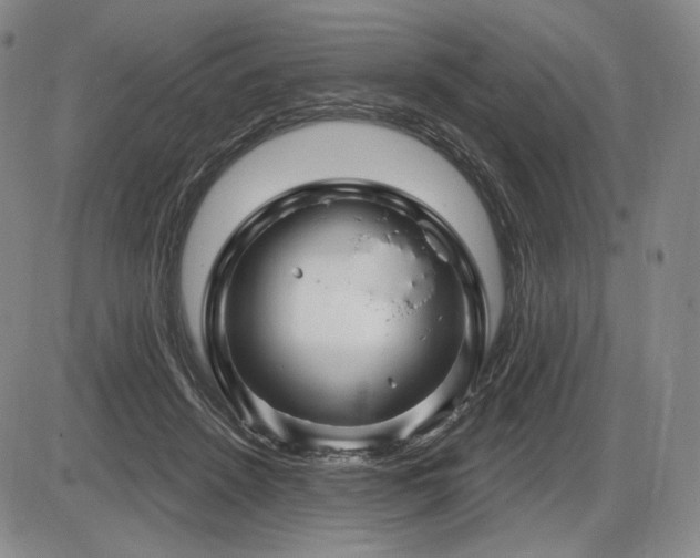 X0000086270456200703291440