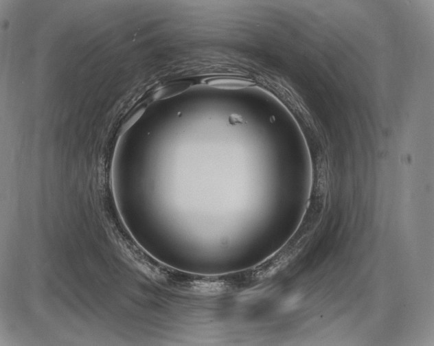 X0000086270457200703291440