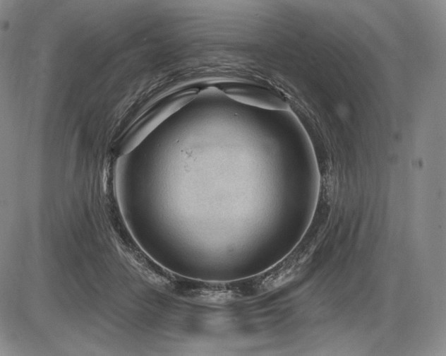 X0000086270458200703291440