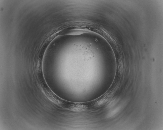 X0000086270459200703291440