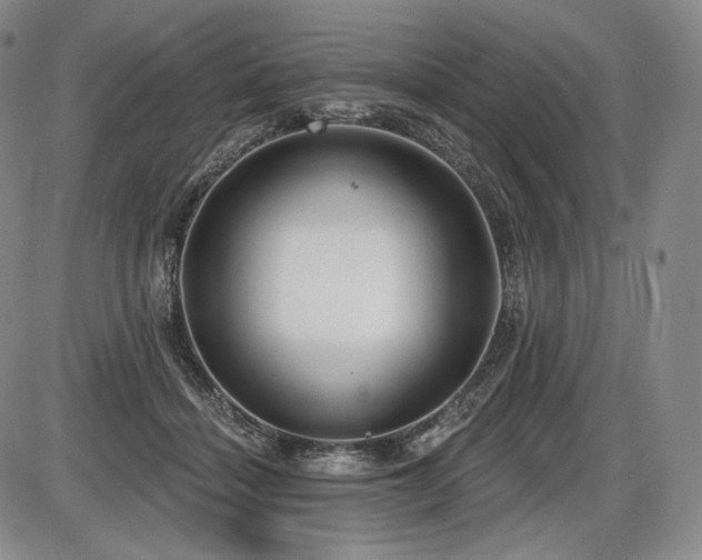 X0000086270460200703291440