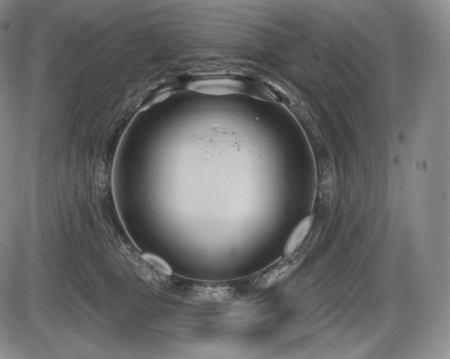 X0000086270469200703291440