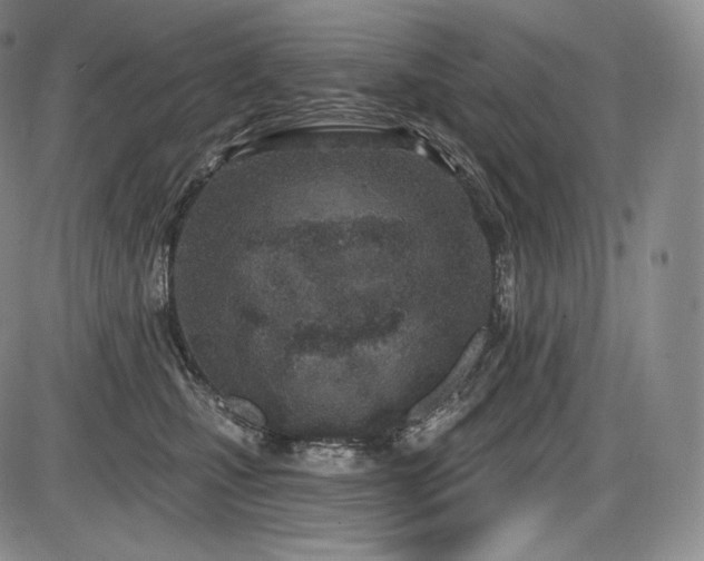 X0000086270471200703291440
