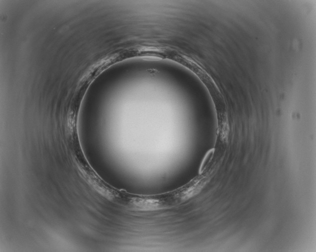 X0000086270476200703291440
