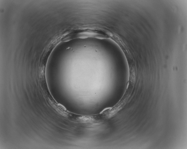 X0000086270477200703291440