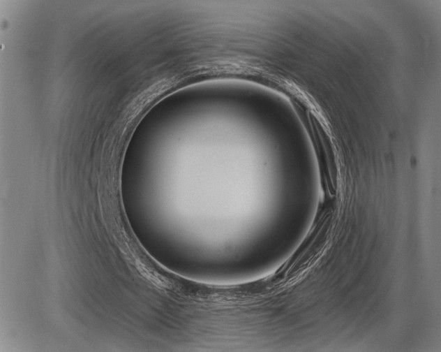 X0000086270481200703291439