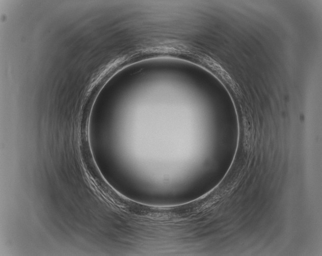 X0000086270482200703291439