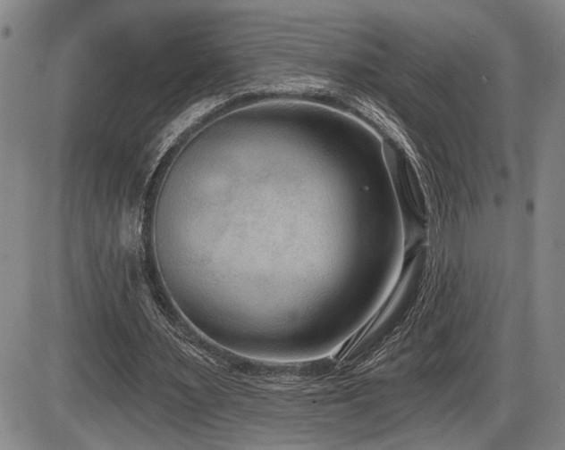X0000086270483200703291439