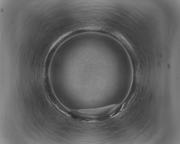 X0000086270484200703291439