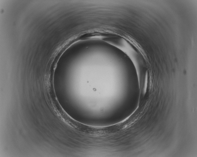 X0000086270485200703291439