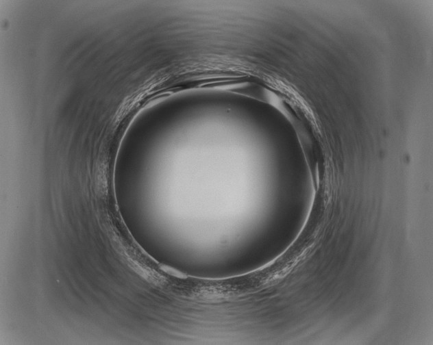 X0000086270489200703291439