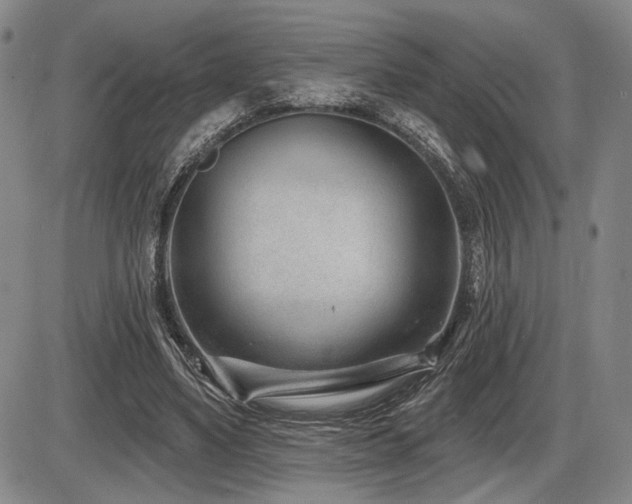 X0000086270491200703291439