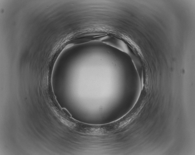 X0000086270493200703291439