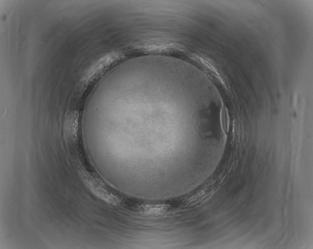 X0000086270495200703291439