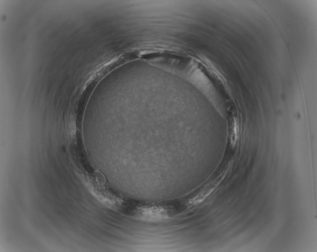 X0000086270500200703291439