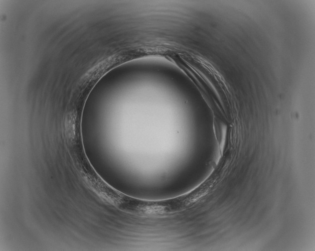 X0000086270501200703291439