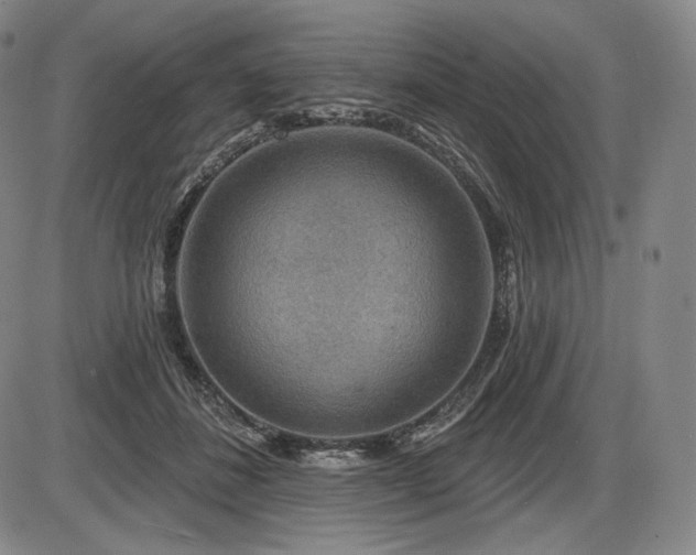 X0000086270508200703291439