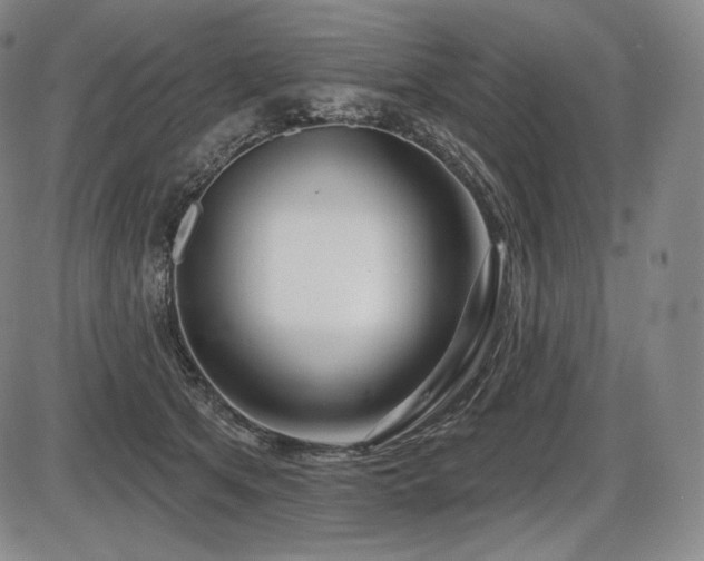 X0000086270513200703291439