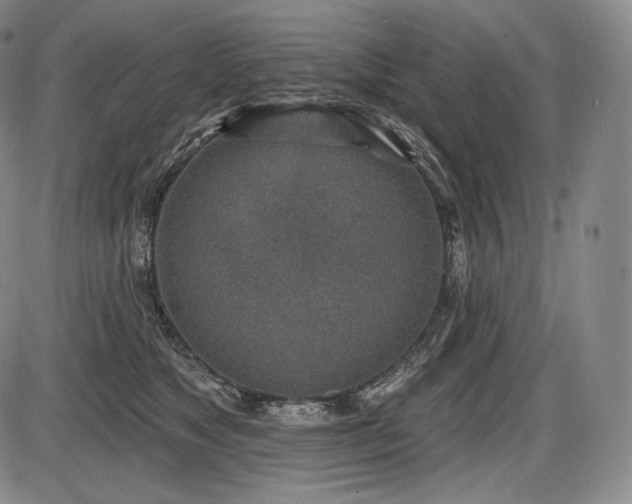 X0000086270517200703291439