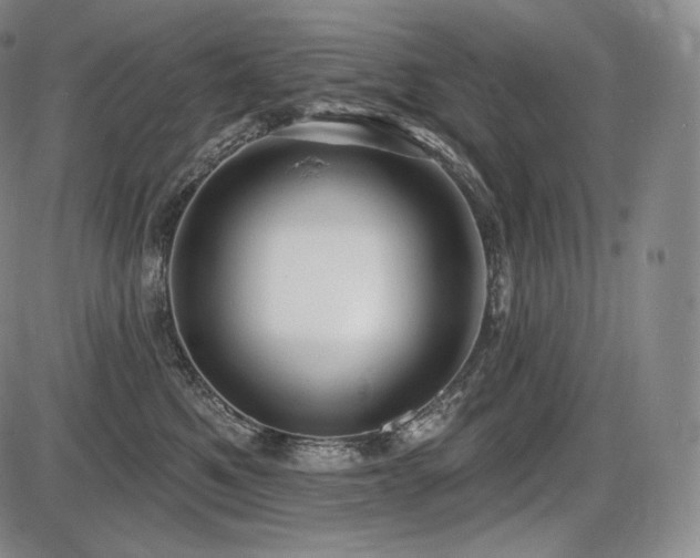 X0000086270521200703291439
