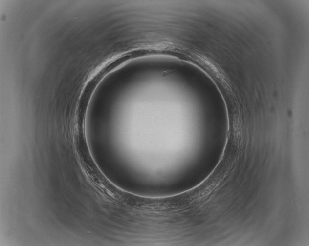 X0000086270532200703291438