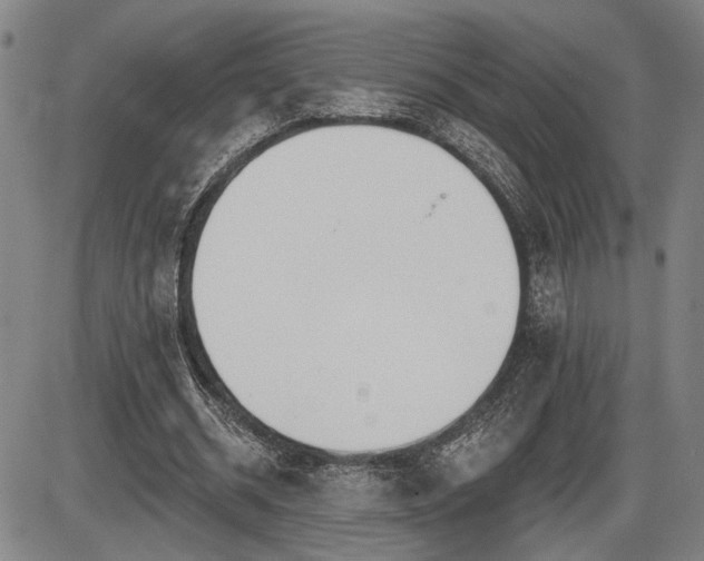 X0000086270534200703291438