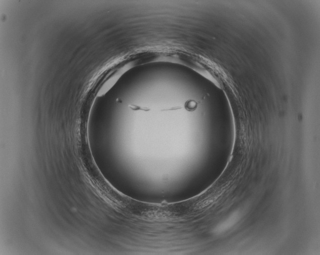 X0000086270535200703291438