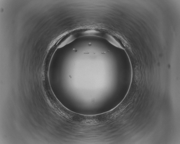 X0000086270536200703291438
