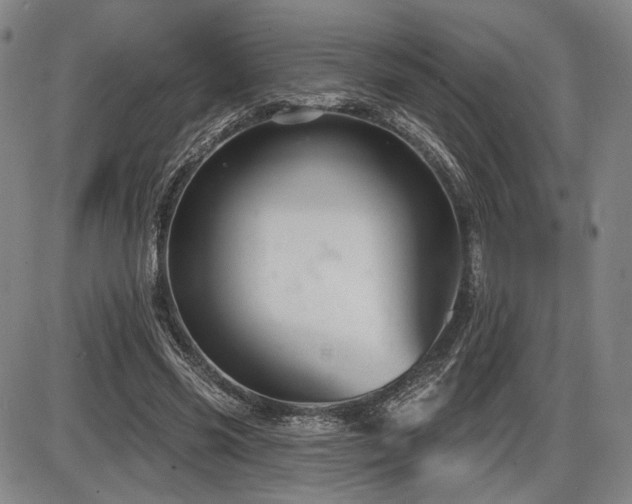 X0000086270541200703291438