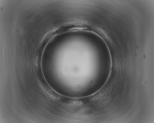 X0000086270543200703291438