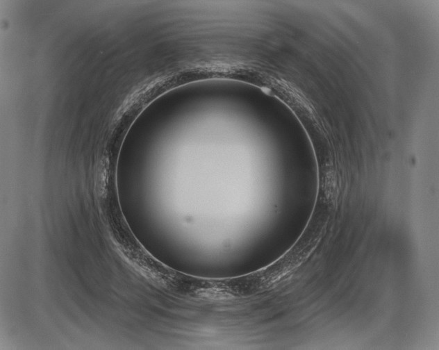 X0000086270544200703291438