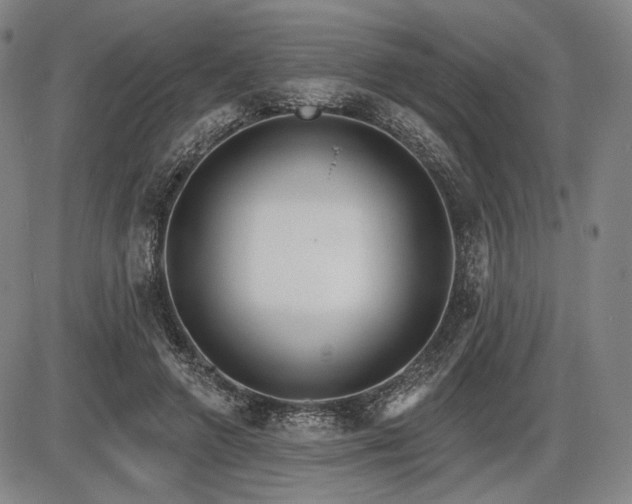 X0000086270546200703291438